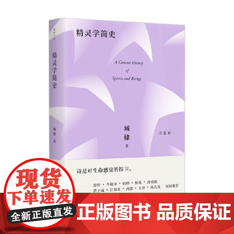 臧棣诗系 精灵学简史 臧棣 著 文学高清大图