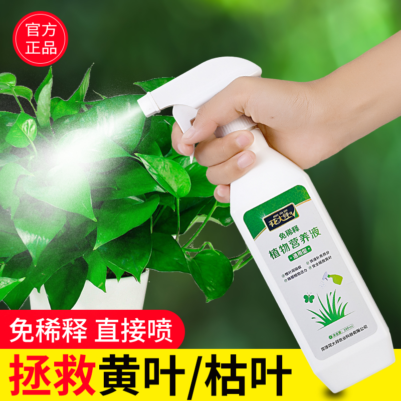 水培植物专用营养液富贵竹转运竹巴西木郁金香绿萝铜钱草通用肥料 叶面肥580ml带喷头喷叶专用