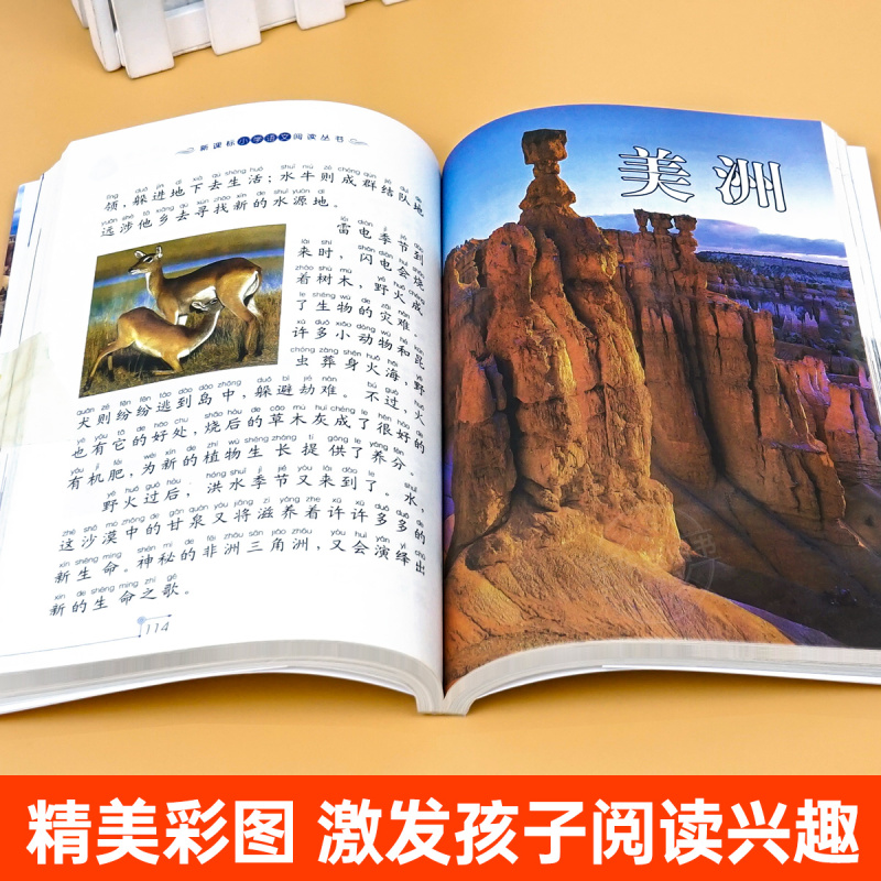 神秘岛 [正版]世界100个自然奇观彩图注音版小学生一年级阅读课外书必读老师语文基础阅读配套丛书二三年级读物带拼音儿童读
