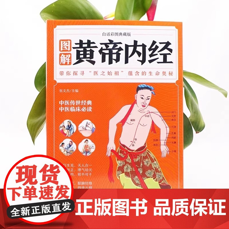 正版 图解黄帝内经 白话彩图典藏版 原文白话文版图解黄本草纲目皇帝内经全注全译彩图中医基础理论十二经脉养生书