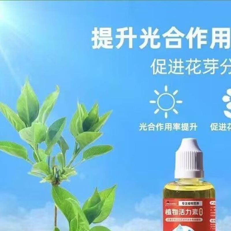 植物活力素浓缩营养液促生长发财树蝴蝶兰花卉水培绿植养花通用型-活力素;1瓶【50ml】+尖嘴*1