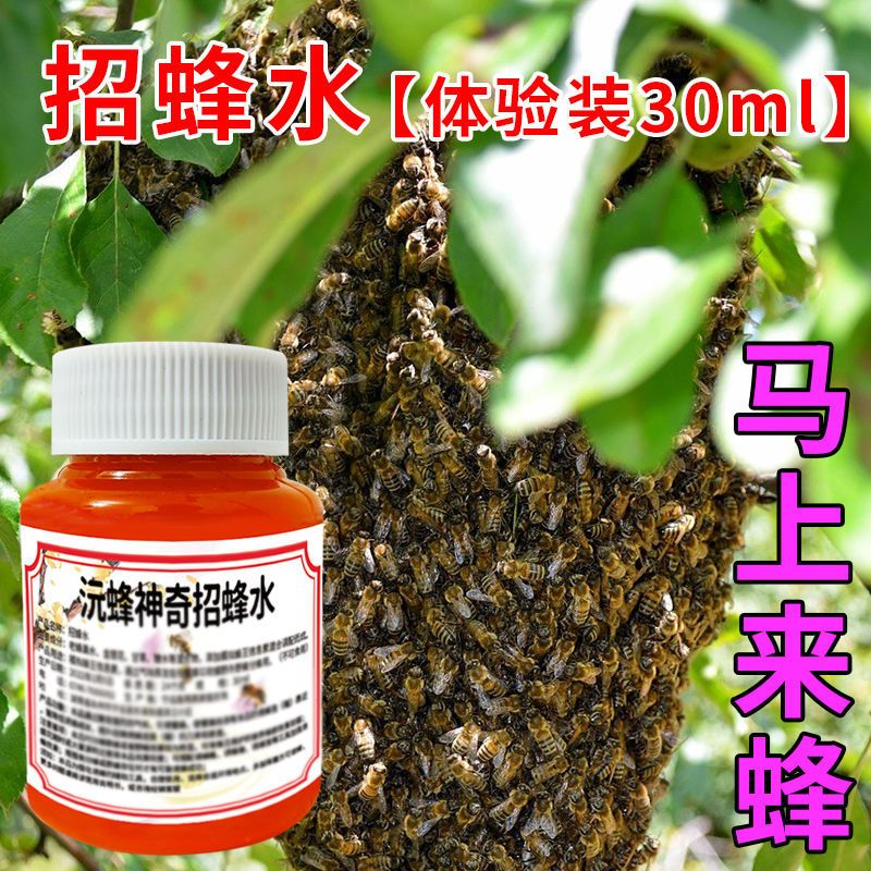 一瓶一次用[小瓶装] 神奇招蜂水引蜂水诱蜂水收蜂水诱蜂液收捕野蜜蜂信息素蜂王信息素