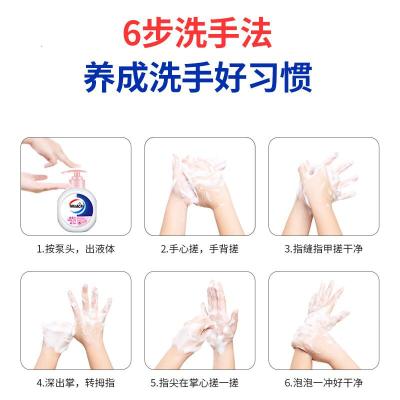 洗得宝 不含酒精免洗洗手液 手消毒液 100ml 无醇免洗泡沫手消 (计价单位:瓶)