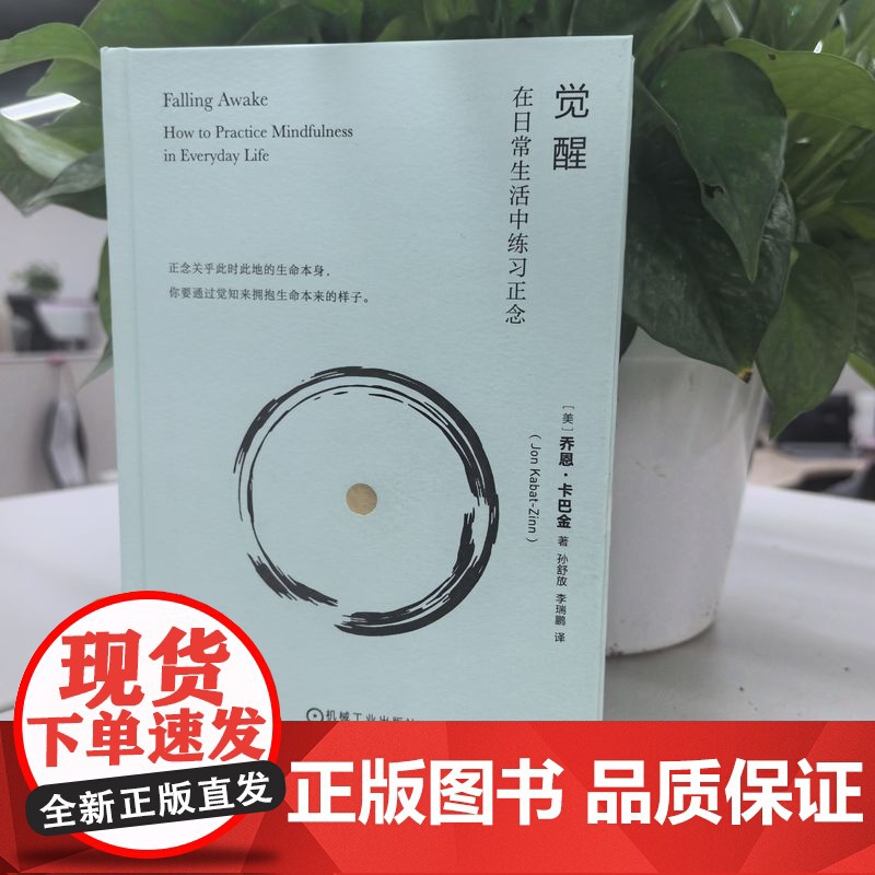 套装 正念地活+正念疗愈的力量+觉醒 在日常生活中练习正念+正念之道 全4册 机械工业出版社高清大图