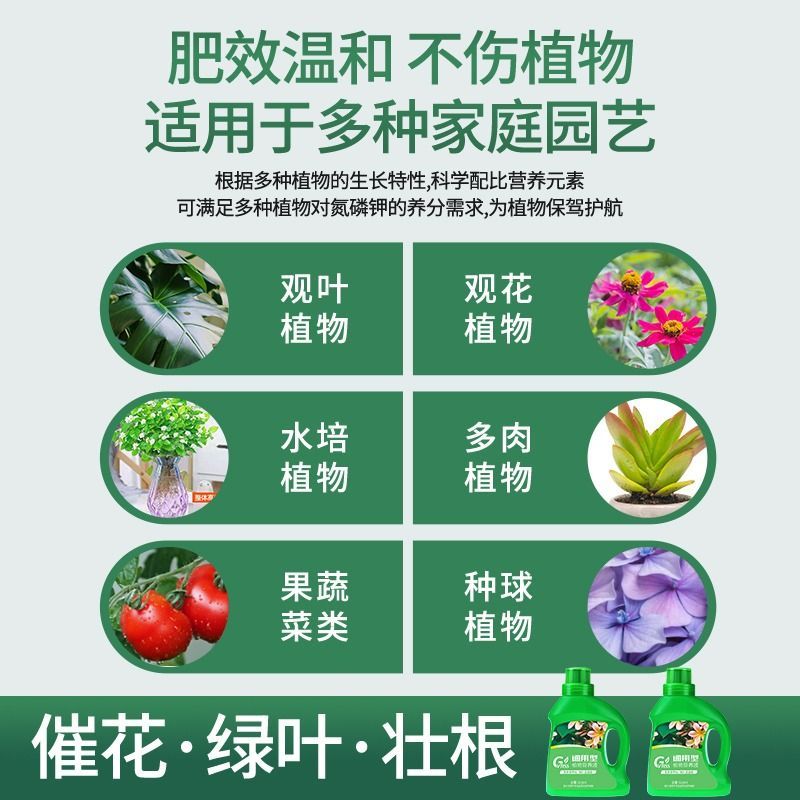 [补贴10%]浓缩植物营养液花肥通用型家用绿植盆栽绿萝富贵竹发财树肥料绿箩高清大图