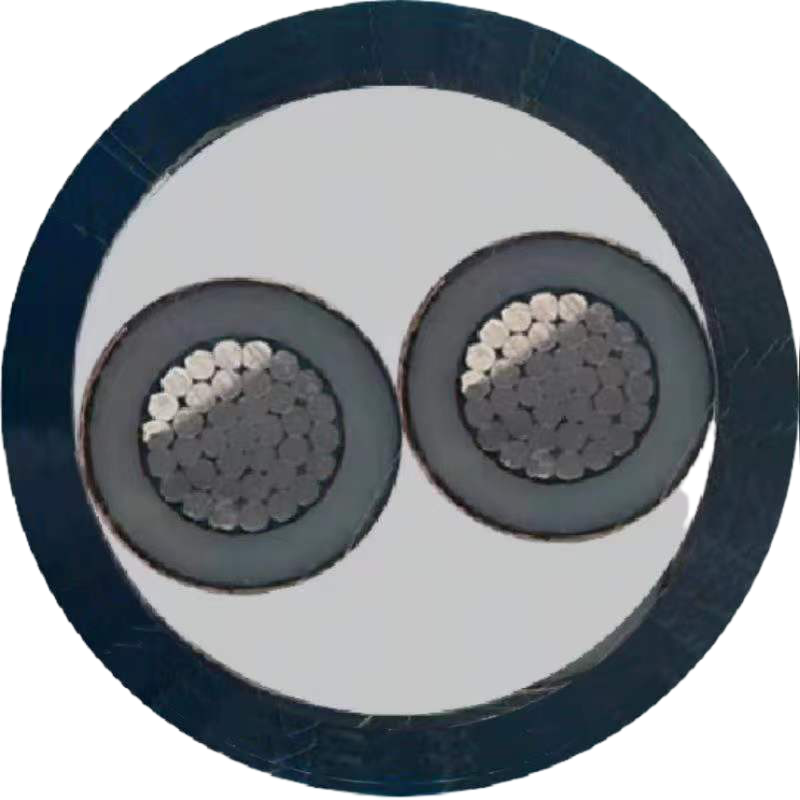 6/1kv-2*50mm05 铝芯低压电力电缆 联系客服 定制商品