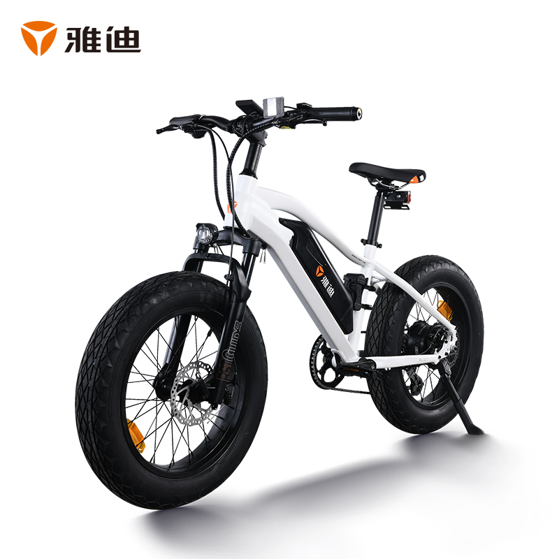雅迪摩界mini20寸36v锂电自行车电动车电池可拆