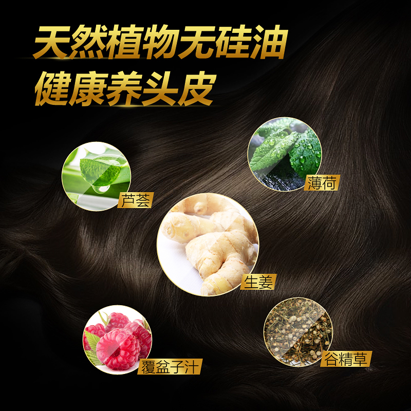 滋源 生姜强根健发 洗发水535ml(中干)(单位:瓶)