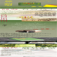 梨与枣/葛亮
