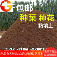 种菜土壤家用蔬菜种土阳台种菜泥土种植土营养土盆栽花土园土通用