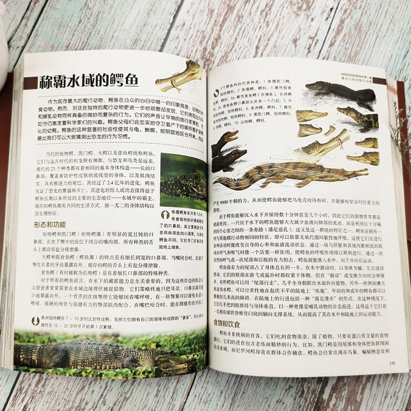 [醉染正版]全景动物百科 全景展现动物生活方方面面 深入揭示动物生存的自然法则由动物演义的生命传奇开启一场奇妙的动物世界高清大图