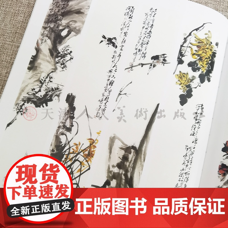 黄晓明 当代水墨画唯美新视界 /水墨花鸟画精品集/白描底稿画谱勾勒技法解析/国画花鸟水墨画临摹画册毛笔绘画入门基础教程高清大图