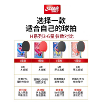 红双喜(DHS)乒乓球拍4星5星6星级狂飙四星五星六星横直拍单拍