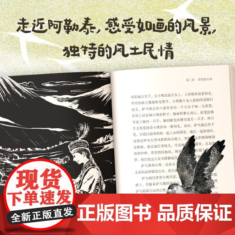 [10岁以上]驯鹰女孩 孙施著 中信出版社图书 正版高清大图