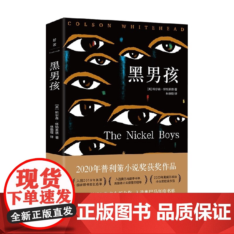 黑男孩 科尔森.怀特黑德 著 我们要逃离多少过往才能让灵魂找到归宿 小说高清大图