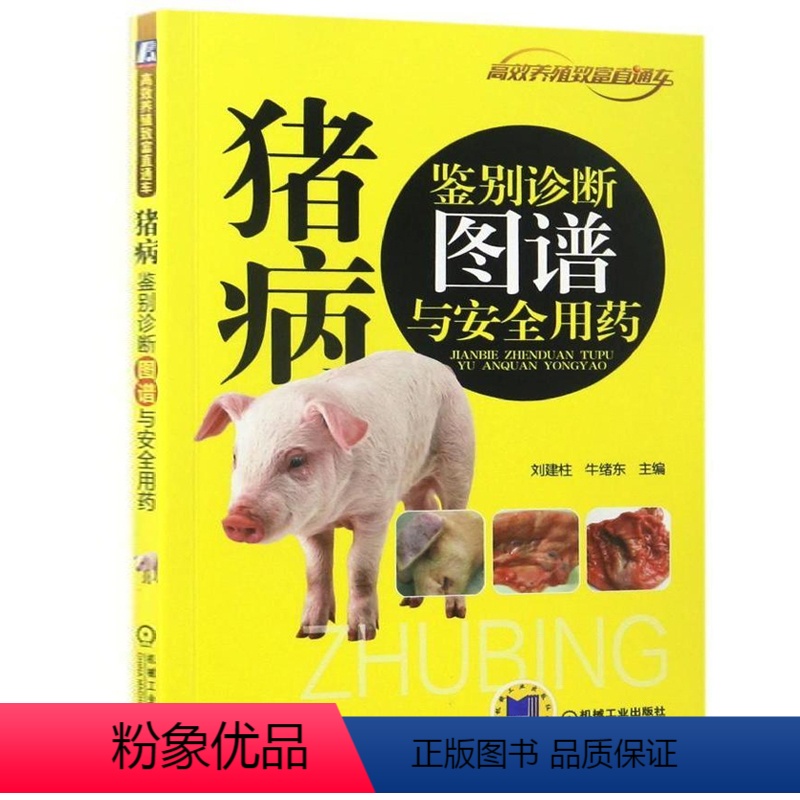 [正版]猪病鉴别诊断图谱安全用药 养猪技术书大全猪病诊治与用药兽药兽医猪养殖猪饲料配方图解与鉴别书籍养猪场设计教程母猪高清大图
