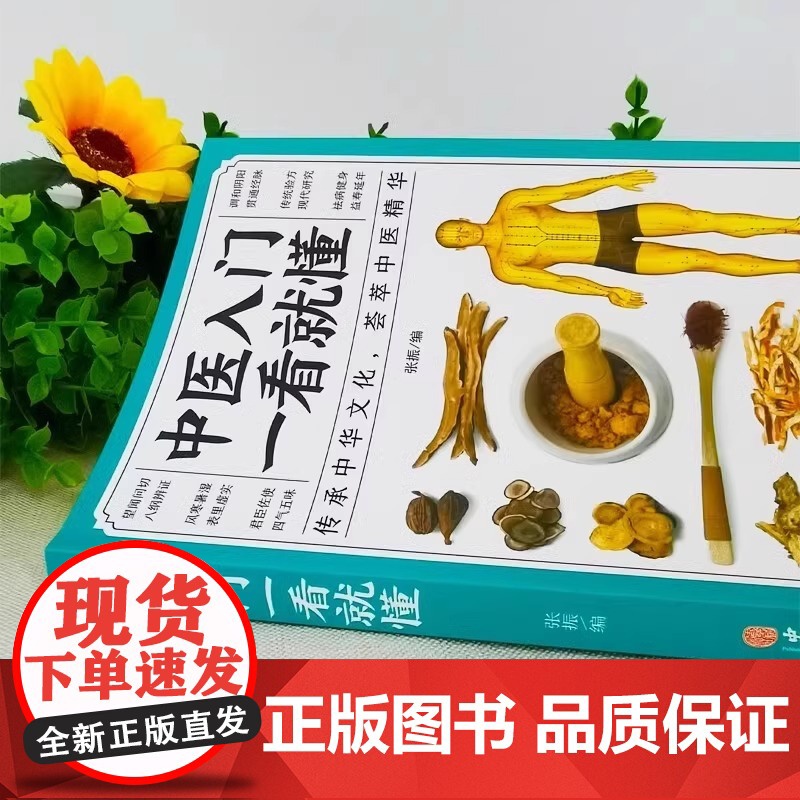 正版 中医入门一看就懂 中草药药方名方偏方经络穴位药膳自诊中医自查养生家庭保健健康医诊断学中医自学中医基础理论零基础学中高清大图