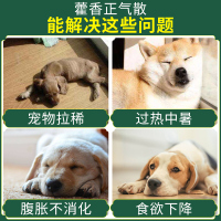新宠之康藿香正气散兽用宠物猫咪泰迪金毛狗狗腹胀食欲下降防中暑