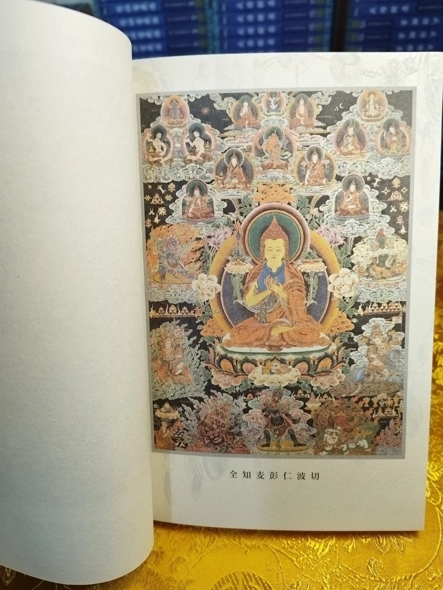 入行论.澄清宝珠论 入行论 智慧品释 麦彭仁波切 索达吉堪布全集6 堪布全集6高清大图