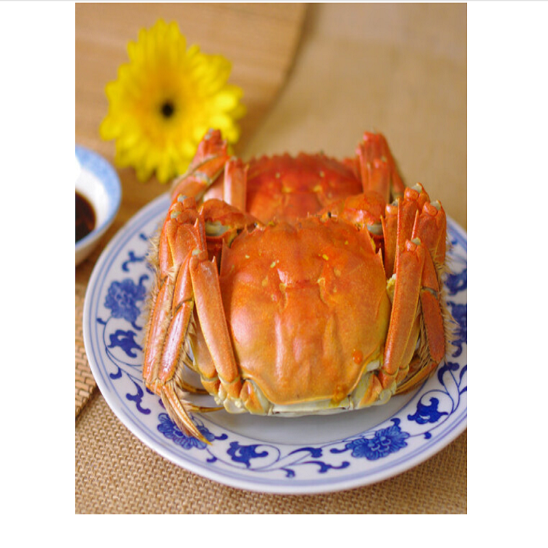 大闸蟹988型公3.2两母2.2两 4对中秋螃蟹海鲜水产渔家将