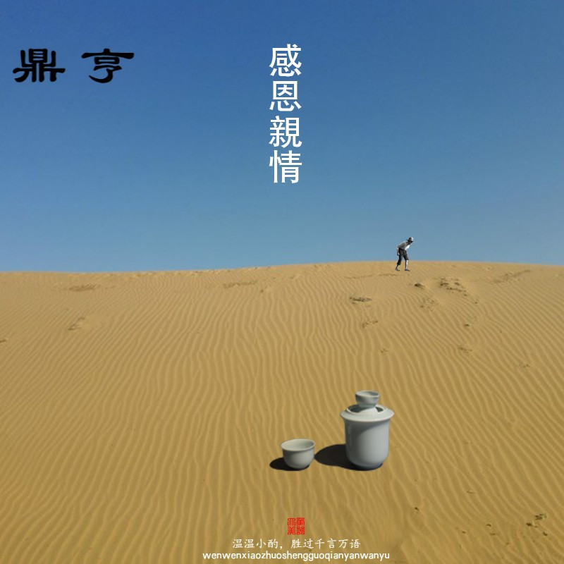 鼎亨温酒壶黄酒温酒器中式烫酒壶家用酒具套件景德镇陶瓷酒壶青白