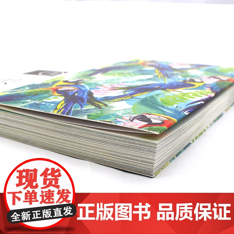 名诗名画系列《黑夜给了我黑色的眼睛,我却用它寻找光明》 ——顾城经典诗集高清大图
