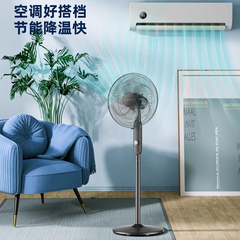 荣事达商用落地摇头扇FS35-201B高清大图