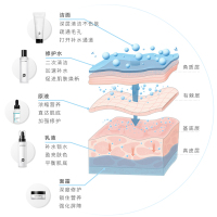 丽普司肽神经酰胺2件套爽肤水+修护乳深层水润修复角质层护肤化妆品