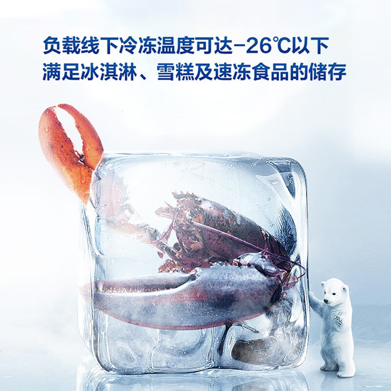 新飞(Frestec)201升冷藏冷冻转换一级能效家用商用变温冷柜卧式冰箱冰柜(白色)BC/BD-201KHAT