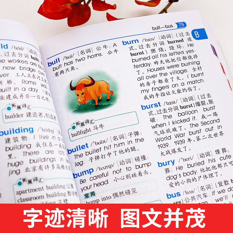 [正版]小学生英语词典2021新版 一二三四五六年级新英汉词典 小学生全多功能成语词典大全英文单词词语书籍英语字典英汉高清大图