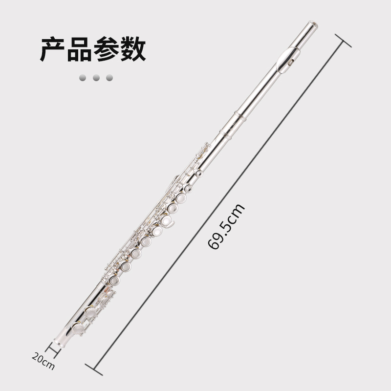 朗动(LMOVE) 长笛乐器LD-602 17开闭双用富贵银长笛学生初学儿童入门考级演奏