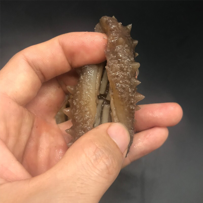 沈志雄东山岛澳角村海参新鲜海参刺参六排刺的海参小米粥年货年夜饭送礼10个一盒高清大图