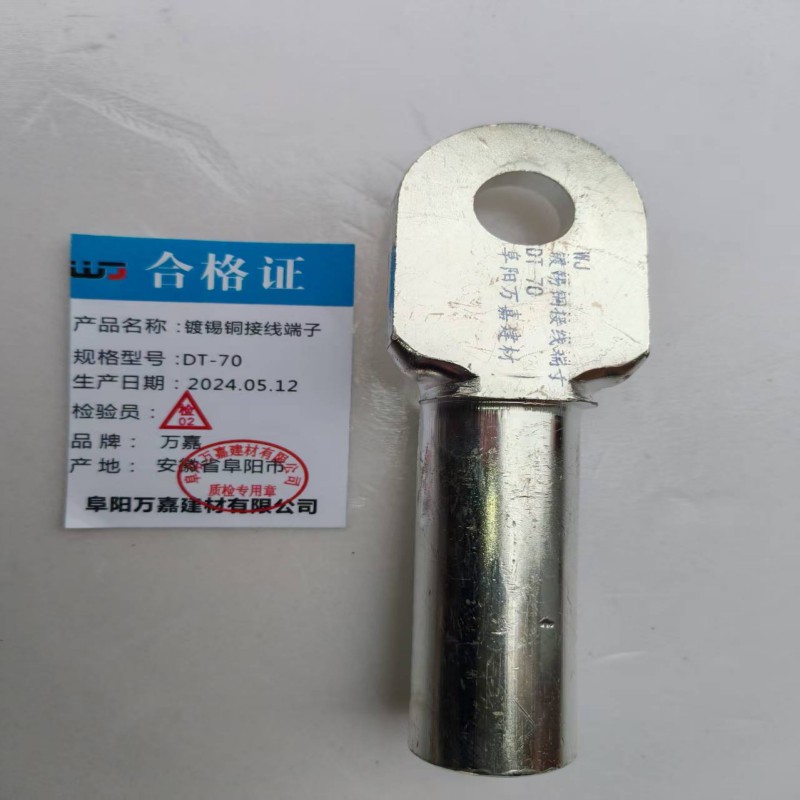 WJ 镀锡铜接线端子DT-70个高清大图
