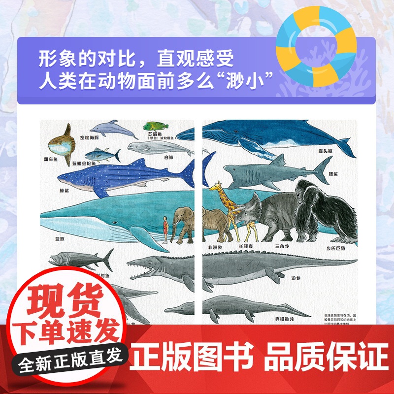 [出版社店]手绘海洋动物 修订版 海洋百科全书 彩图绘本 海洋生物科普读物 海底世界科普百科全书 你不可不知的海洋之谜高清大图