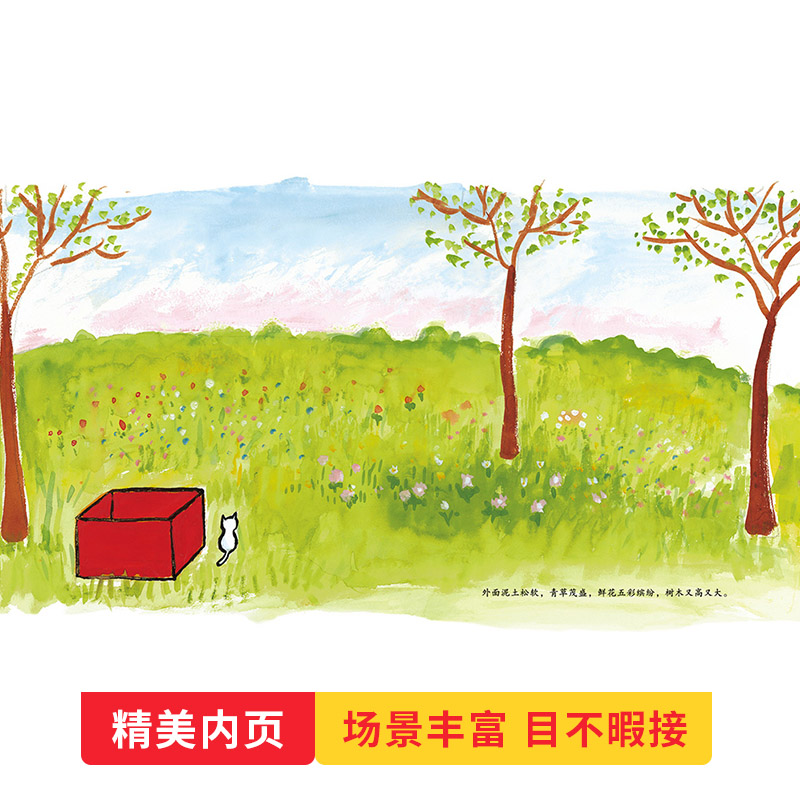 绿眼睛(精装) [正版]绿眼睛精装硬壳图画书凯迪克银奖绘本跟优美的文字描述随小猫感悟季节的变化适合0-6岁亲子阅读蒲蒲兰高清大图