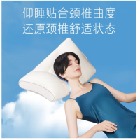 SKG颈椎枕头护颈枕芯高度可调睡觉深眠专用送男女礼物实用高端 养护+牵引P3豪华款[带磁石]
