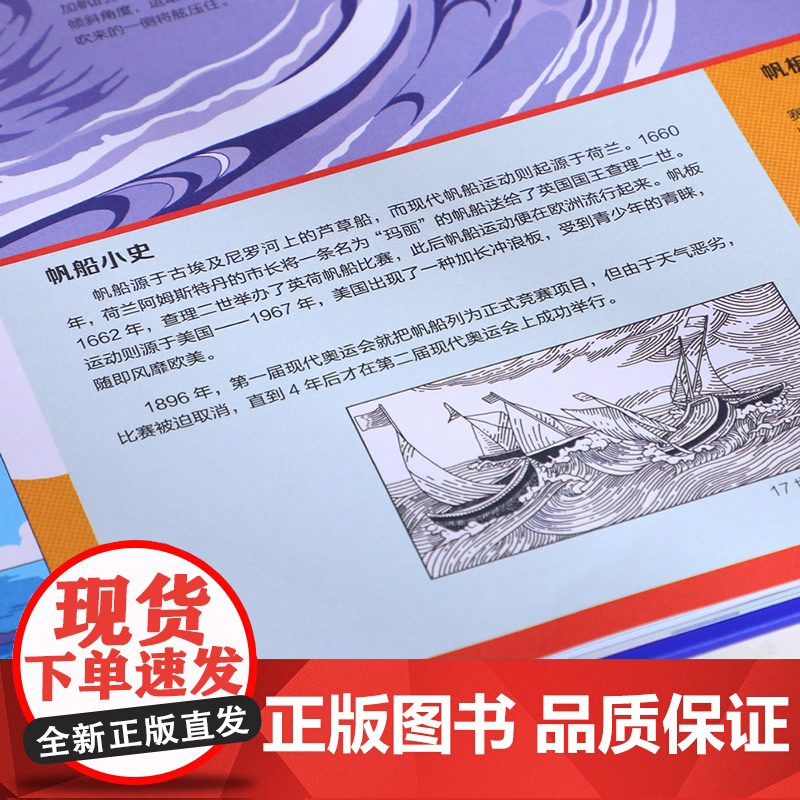 体育运动大书 未来出版社 梁丽娜,方胜蓝 著 杨猛 绘高清大图