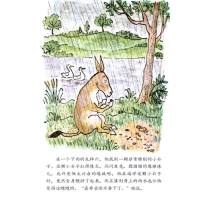 [正版]驴小弟变石头儿童绘本一年级信谊世界图画书明天出版社3-8岁亲子启蒙阅读早教信宜幼儿幼儿园宝宝0故事6周岁2不注