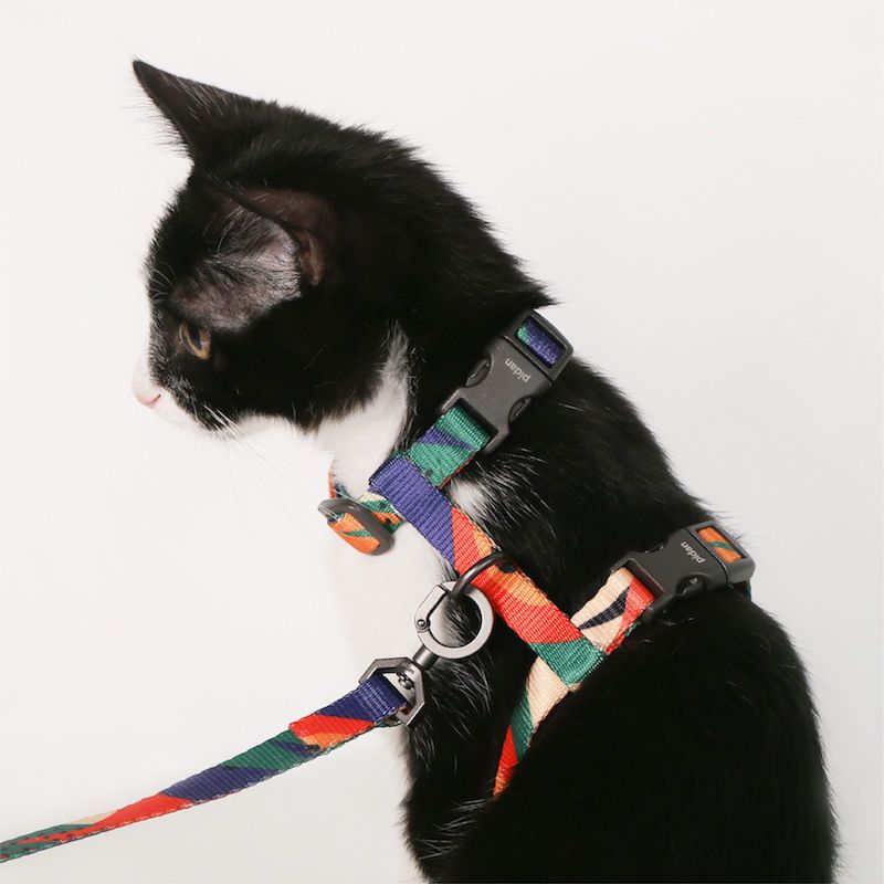 pidan猫绳 欧普暗影 猫咪牵引绳套装猫咪H型背带遛猫绳宠物猫咪用品