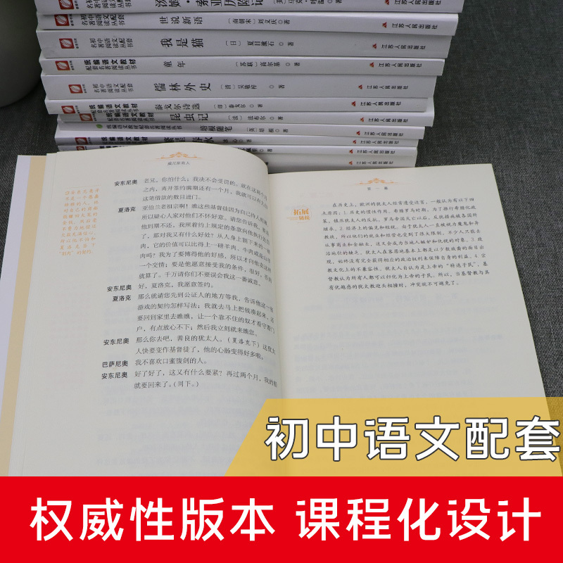 [九年级上]水浒传 [正版]朝花夕拾骆驼祥子昆虫记钢铁是怎样炼成的艾青诗选简爱呼兰河传鲁滨逊漂流记 七八九年级上下册 初