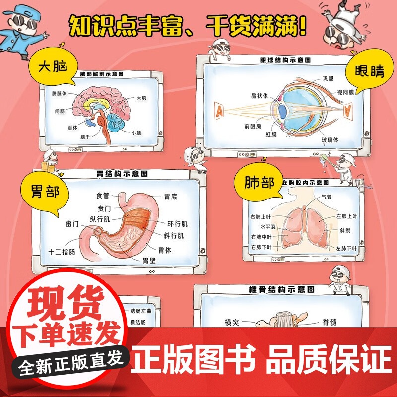 漫画万物这就是人体 爆糖童书等 著 科普百科高清大图