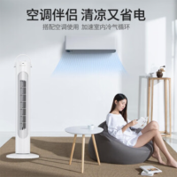 先锋塔扇 FTT10-22A YC