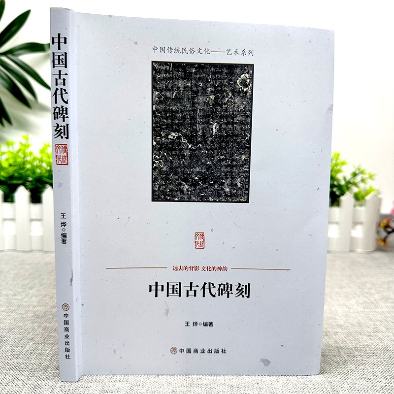 [正版]中国古代碑刻 碑刻的形式分类 内容分类 制作整理研究与应用著名书法碑刻少数民族文字碑刻等 中国传统民俗文化艺术高清大图