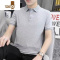YANXUpolo衫男2022夏季新款带领短袖t恤男翻领修身半袖纯色上衣服潮流T恤