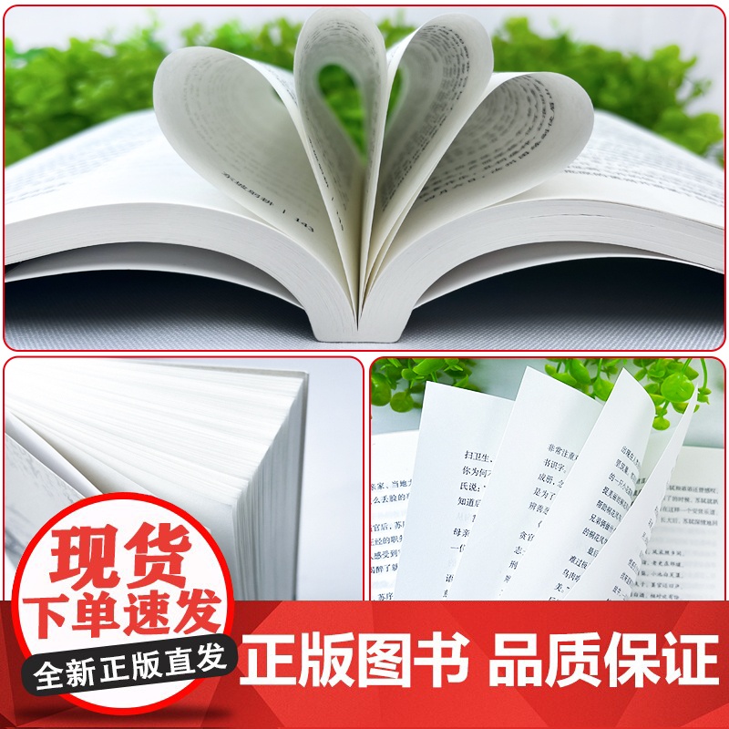正版苏东坡传一蓑烟雨任平生申维著苏东坡集苏轼李白杜甫传文学国学历史名人物传记林语堂盛赞中国传记文学经典人物传记名人传高清大图
