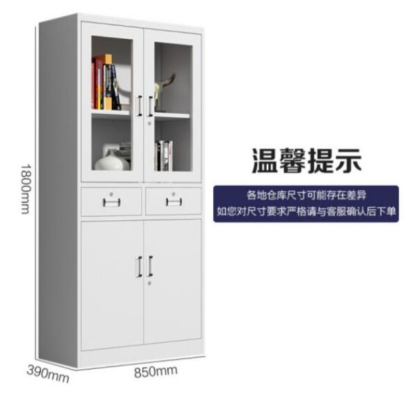 泽译家具ZY-02O文件柜办公柜中二抽