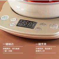 苏泊尔（SUPOR）SW-15YT05 养生壶 家用 多功能 煮茶壶 办公室 小型 花茶壶 燕窝壶 养生壶 按键保温调时