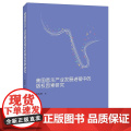 正版 美国音乐产业发展进程中的版权因素研究 黄虚峰 著 法学理论 社科 知识产权出版法