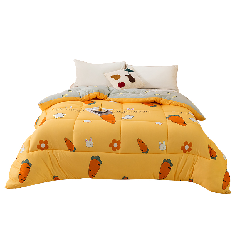 冬天被子冬被芯双人加厚保暖学生宿舍单人秋冬季太空丝棉被春夏款薄春夏秋冬季高清大图