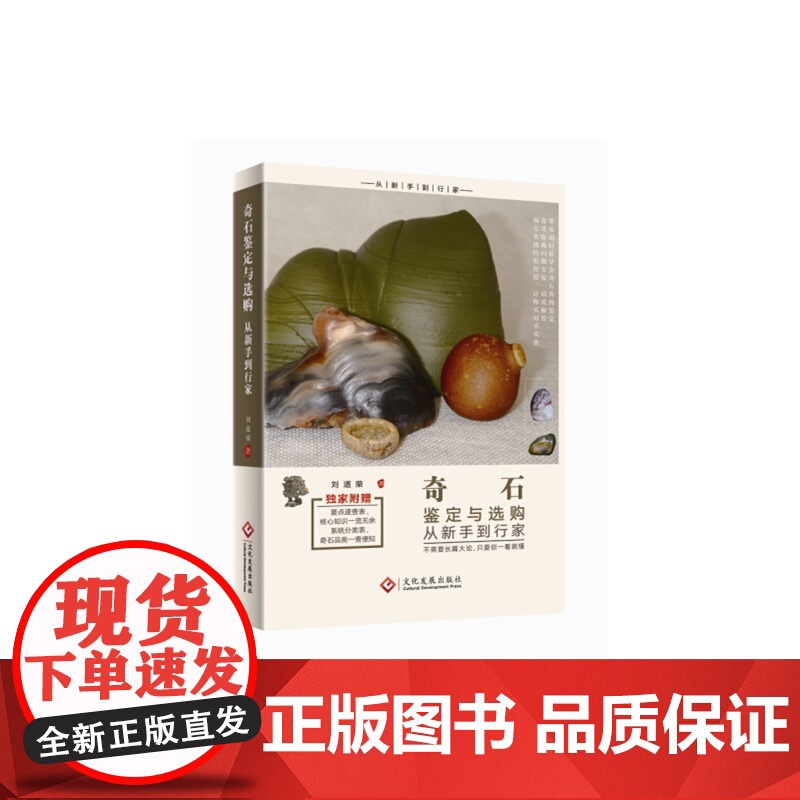 奇石鉴定与选购从新手到行家高清大图